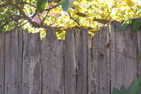 Паркан без конфліктів: огорожа якої висоти не викличе сварки із сусідом