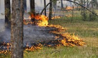 Декілька днів на Рівненщині буде висока ймовірність виникнення пожеж