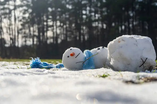 Фото ілюстративне