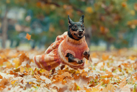 Синоптики попередили: в Україні очікується різка зміна погоди