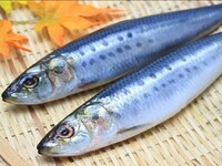 Її любили мільйони, а тепер не знайти: Яка риба зникла після розпаду СРСР (ФОТО)