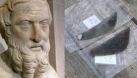 Серпи часів Геродота несподівано знайшли на Рівненщині (ФОТО)