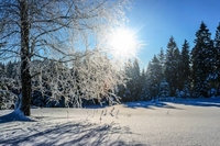 21 грудня - День зимового сонцестояння: прикмети та заборони дня
