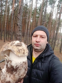 Під зиму знайшли майже кілограмового білого гриба (ФОТО)