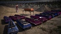 На Київщині поховали ще 13 людей, які загинули під час окупації Бучі (ФОТО)