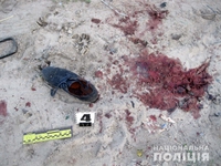 Чоловіка, який збив на смерть хлопця та втік, засудили на Рівненщині 