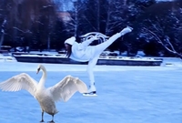 Казкове видовище: дівчата на ковзанах підкорюють Лебединку у Рівному (ВІДЕО)