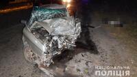«Драгер» показав 2,29 проміле: на Рівненщині затримали винуватця смертельної автотрощі (ФОТО)