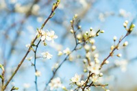 Що заборонено їсти 4 квітня, щоб не притягнути злидні: народні прикмети