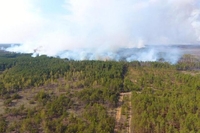 Ситуація під контролем: про пожежу у лісі на півночі Рівненщини (ФОТО)