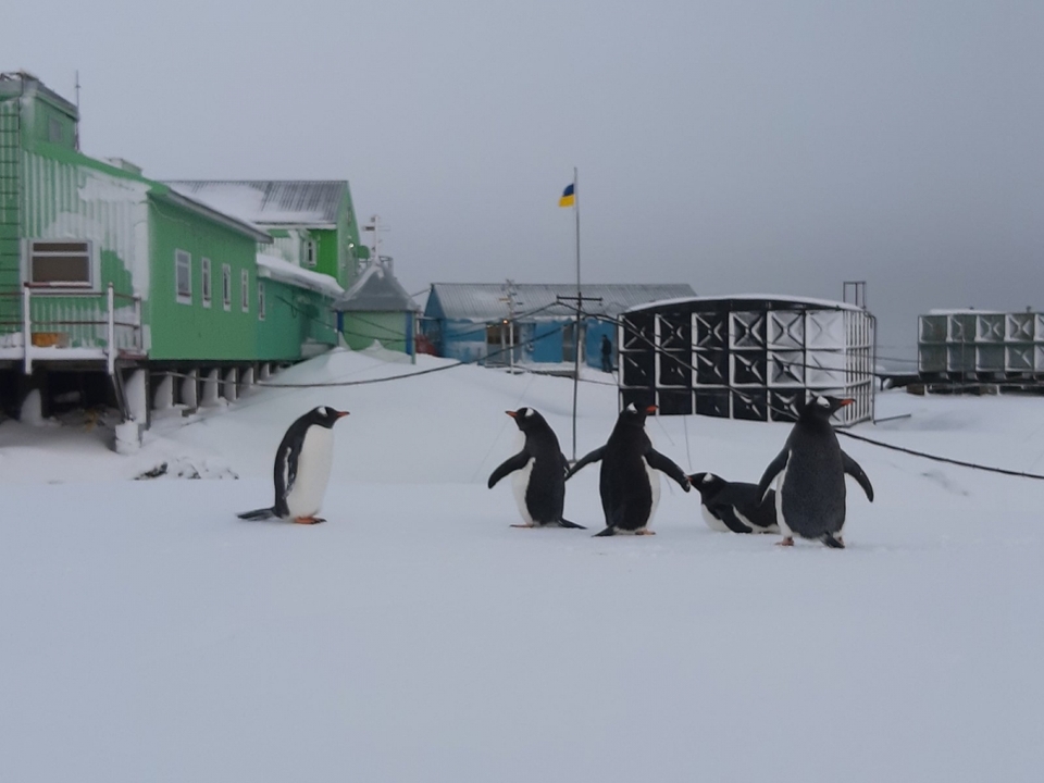 Фото зі сторінки Національного антарктичного наукового центру
