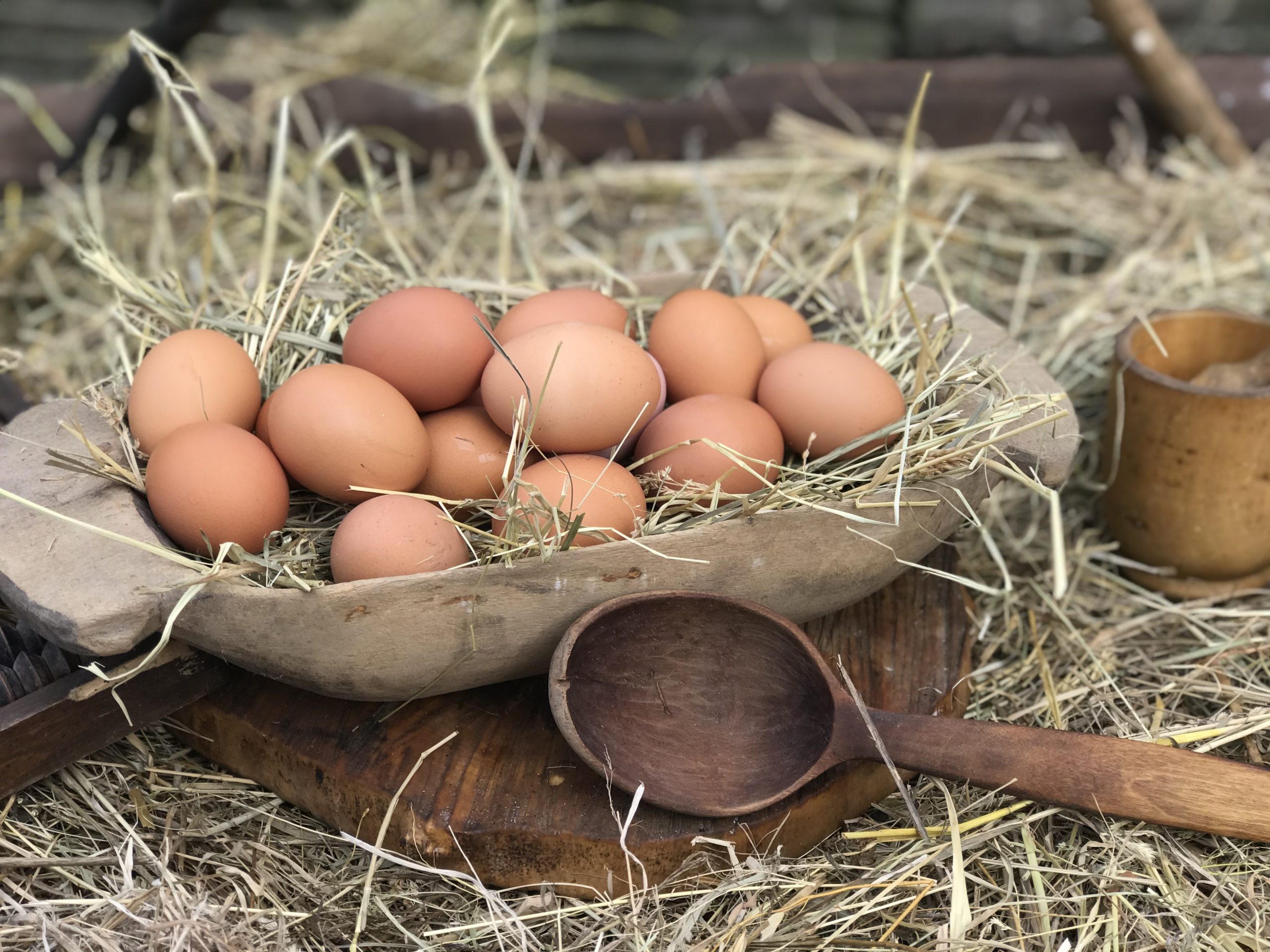 Головна відмінність сільських яєць від магазинних та їхня користь: про це знають одиниці