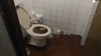 Паліїв сухостою хочуть карати прибиранням громадських туалетів, більшими штрафами і тюрмою