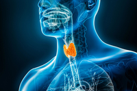 Щитоподібна залоза  скаже дякую: продукти реально допомагають, а які — шкодять