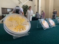 В Україні випустили кольорові монети до Дня Незалежності (ФОТО)