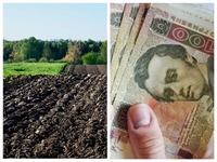 Земельна реформа: як зміниться ціна на паї на Рівненщині з 1 липня