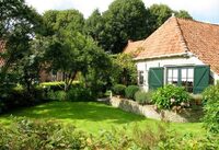 Три дерева біля дому, які притягують в оселю гроші: народні прикмети