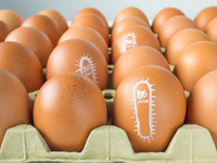 Українців чекає нове підвищення вартості яєць: відомо, коли зростуть ціни