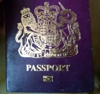 У Рівному знайшли паспорт британки Mrs. Robinson (ФОТО)