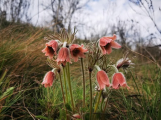 Фото - Eugene Shnaider