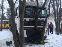 DAF на Рівненщині потрощив дерева і травмував жінку (ФОТО)