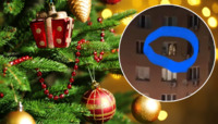 У вікні київської квартири помітили запалену новорічну ялинку: «сильні люди» (ФОТО)