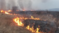 Скільки на Рівненщині коштує спалювання стерні та опалого листя