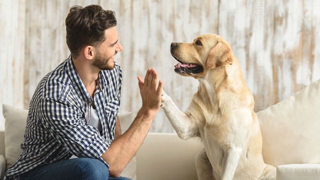 Фото ілюстративне, з відкритих джерел