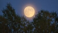 Повня 24 лютого: прикмети і повір'я про повний Місяць