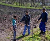 На Рівненщині батько із синами висадили пів сотні дерев вздовж дороги (ФОТО)