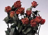 4 речі, які притягують хвороби у дім: народні прикмети