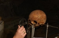 Кістки дітей, старих і наречених: що знайшли у Клевані археологи (ФОТО) 