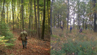 У лісі на Сарненщині рятувальники шукали зниклого чоловіка (ФОТО)