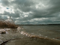 Вітер розгойдав хвилі на Басівкутському озері (ФОТО)