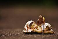 5 липня: Хто сьогодні святкує День ангела (ФОТО)