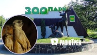 Показові годівлі тварин для дорослих і малих влаштовує цими вихідними Рівненський зоопарк