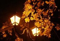 Теплу ніч прогнозують на Рівненщині