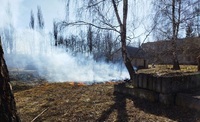 Нема ні совісті, ні розуму: 10 пожеж влаштували на Рівненщині палії трави (ФОТО/ВІДЕО)