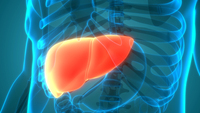 Важливо перед святами: як зрозуміти, що у вас уже проблеми з печінкою 