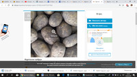 Картоплю по 8 грн за кіло продають в інтернеті (ФОТО)