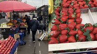 На ринку у Рівному 1 кг першої полуниці коштує, як 7 л бензину