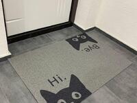 Що 1 січня потрібно покласти під килимок біля входу, щоб залучити удачу: народні прикмети