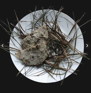 Трав'яники - випечений хлібець з натертої трави, замішаний на гарячій воді з додаванням насіння льону. Страви, які готували під час голодоморів. Фото "24 канал"