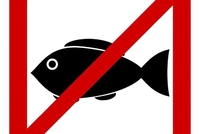 На Рівненщині з 1 листопада заборонять ловити рибу
