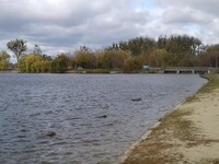 Басівкутське озеро у Рівному стане чистішим (ФОТО)