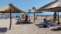 Не лише медузи… Комарі та мошки атакували популярний український курорт