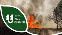 Через падіння уламків двох «Шахедів» сталася пожежа у лісі на Волині і Рівненщині
