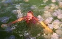 Страшно навіть дивитися: У курортній Кирилівці на пляжі знайшли «кладовище медуз» (ФОТО/ВІДЕО)
