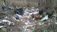 Екологи з Рівного через міністерство «прибрали» стихійне сміттєзвалище