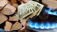 Дровами чи газом: в Україні порахували, чим вигідніше опалювати в оселі
